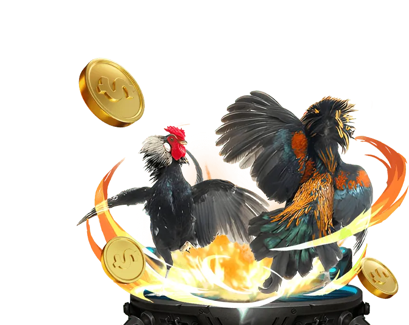 Khuyến mãi nạp tiền hàng ngày/tuần KU777 Casino